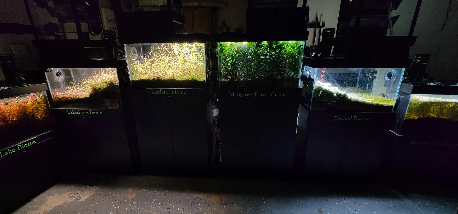 Complete miniBIOTA closed ecosystem with six interconnected biomes