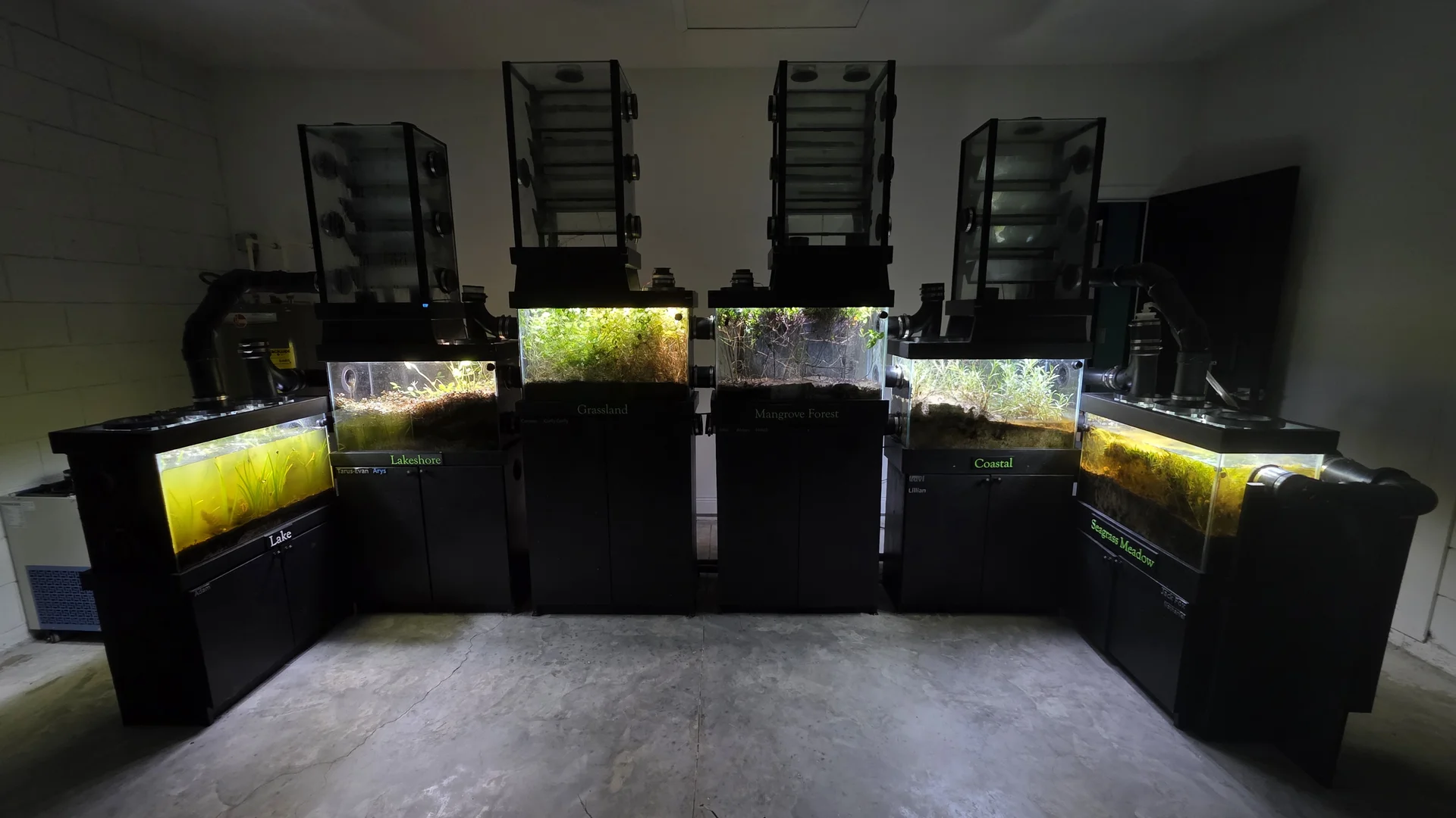 Full miniBIOTA enclosure with six living habitat chambers and four upper atmosphere-processing tanks