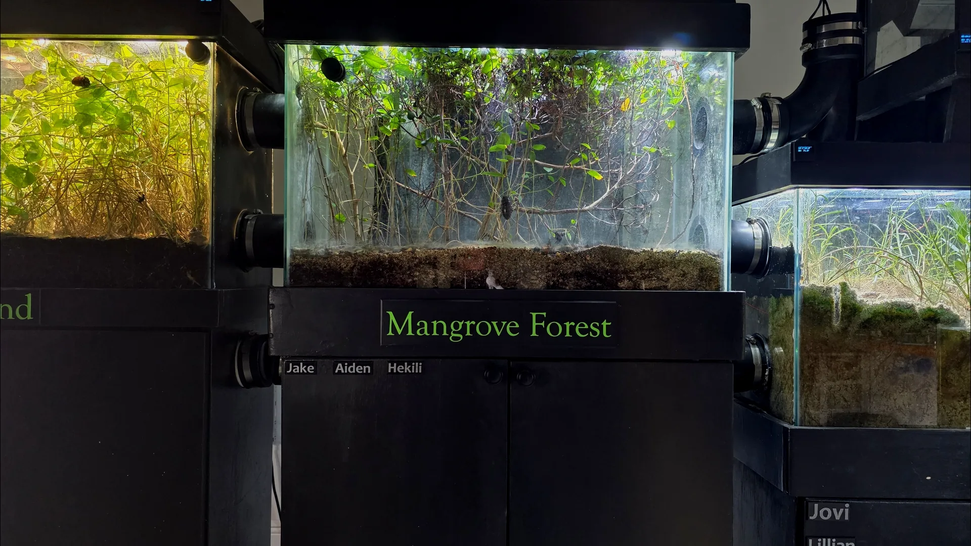 Supporter nameplates mounted below the Mangrove Forest biome cabinet
